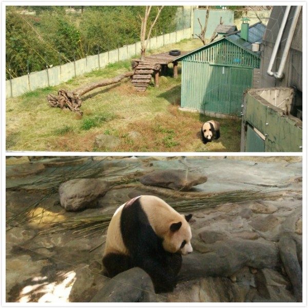 公司總動(dòng)員——臺(tái)州一日游